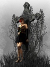Fun's Image Shares