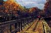 anumbrellaandabridge.jpg (108833 bytes)