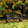 autumnbenchlensbaby.jpg (77172 bytes)