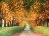 autumncognacregion.jpg (94198 bytes)