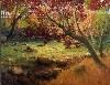 autumncolor.jpg (100597 bytes)