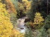 autumncolorcoquilleriveroregon.jpg (71815 bytes)