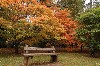 autumncolour.jpg (112063 bytes)